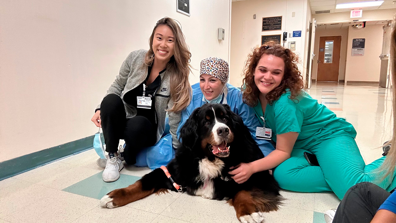  March 23, 2023 | Ale Ramos Therapy Animals