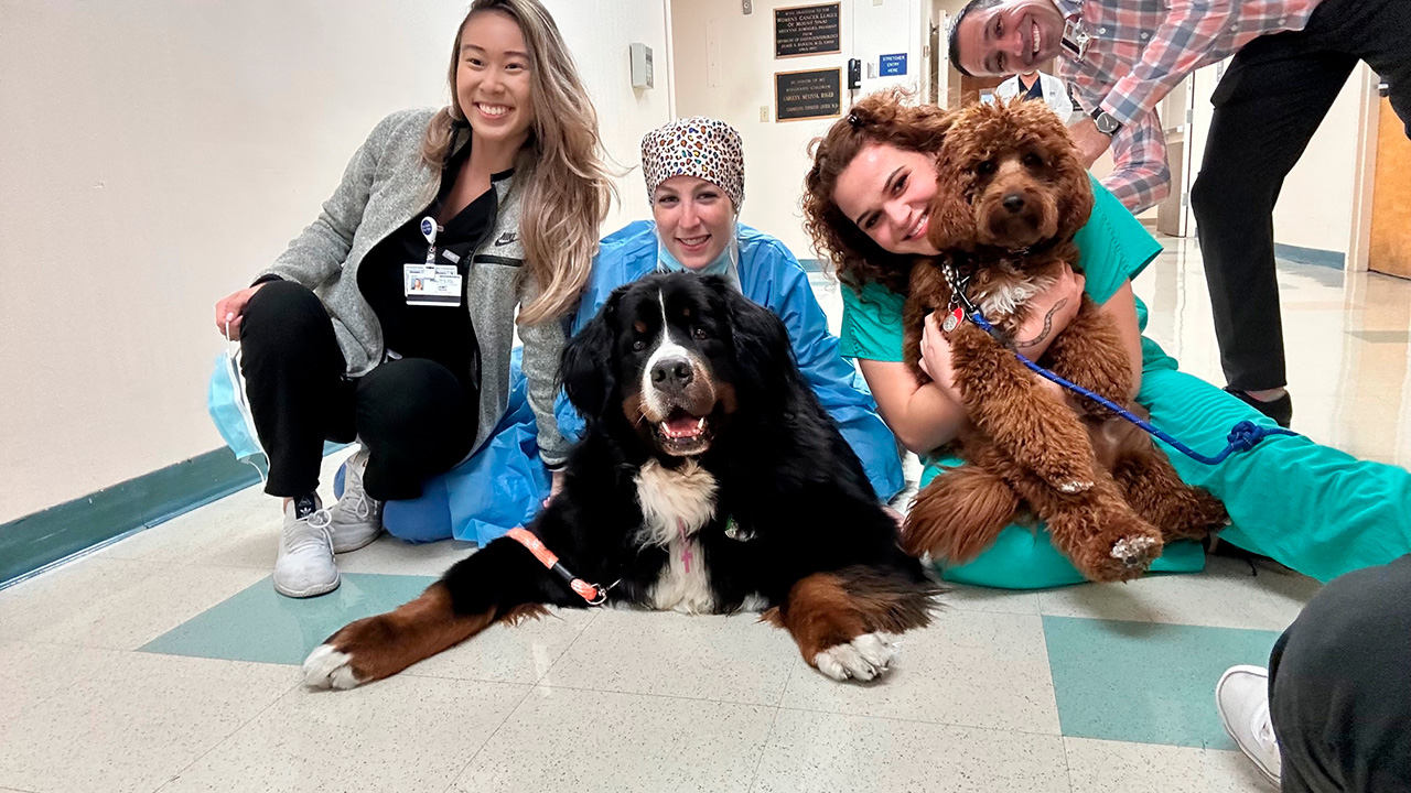  March 23, 2023 | Ale Ramos Therapy Animals