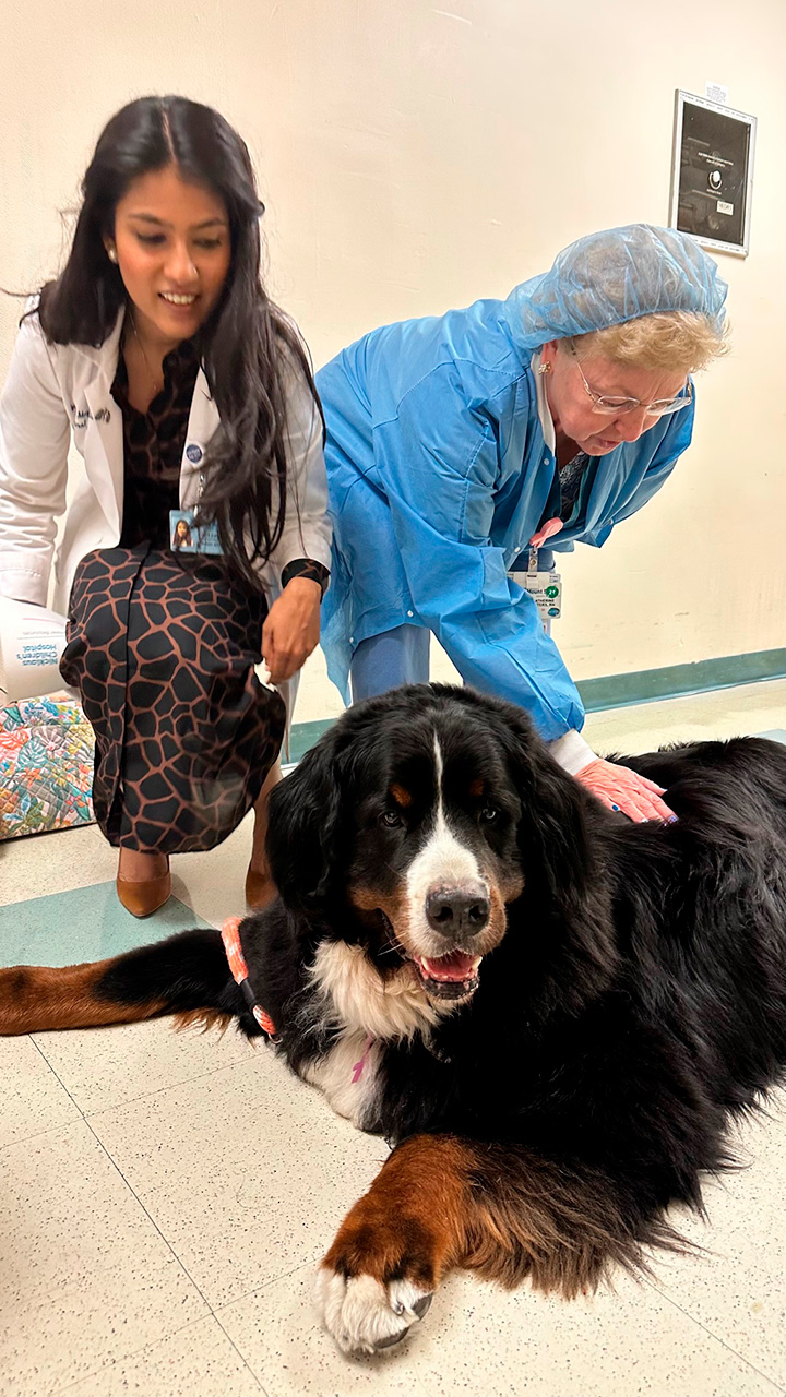  March 23, 2023 | Ale Ramos Therapy Animals
