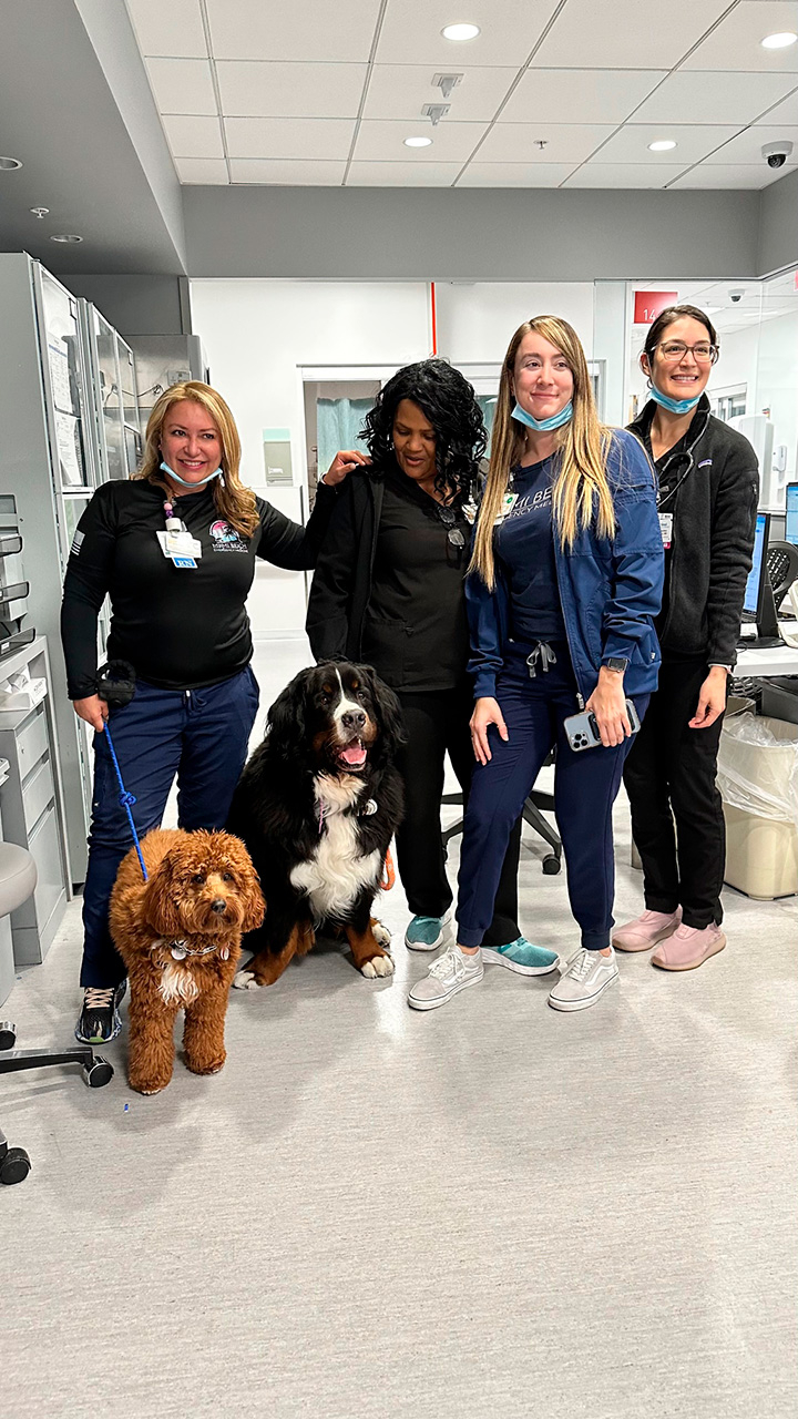 March 23, 2023 | Ale Ramos Therapy Animals