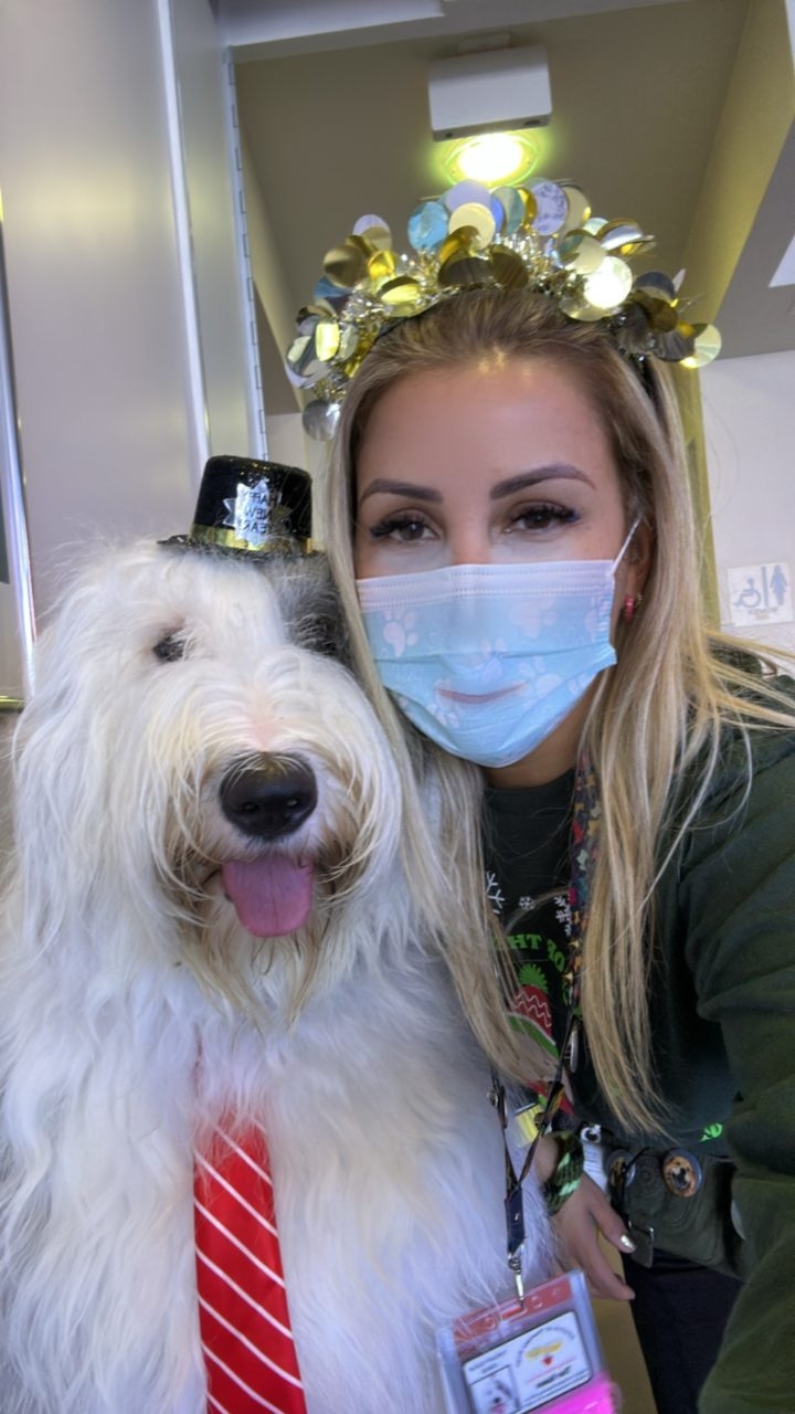 Apollo at Mount Sinai New Year Eve | Ale Ramos Therapy Animals