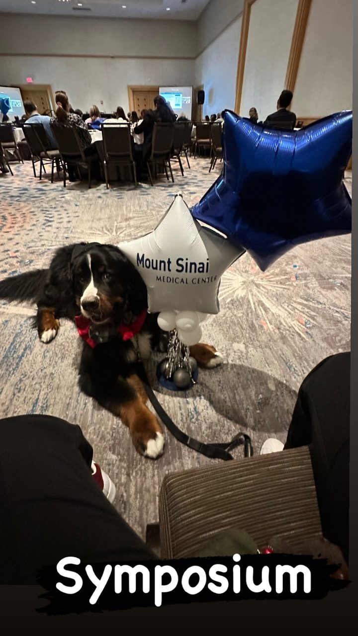 Apollo at the Mount Sinai Symposium | Ale Ramos Therapy Animals