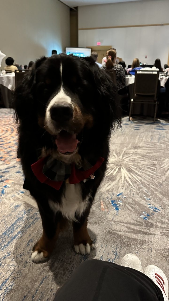 Apollo at the Mount Sinai Symposium | Ale Ramos Therapy Animals