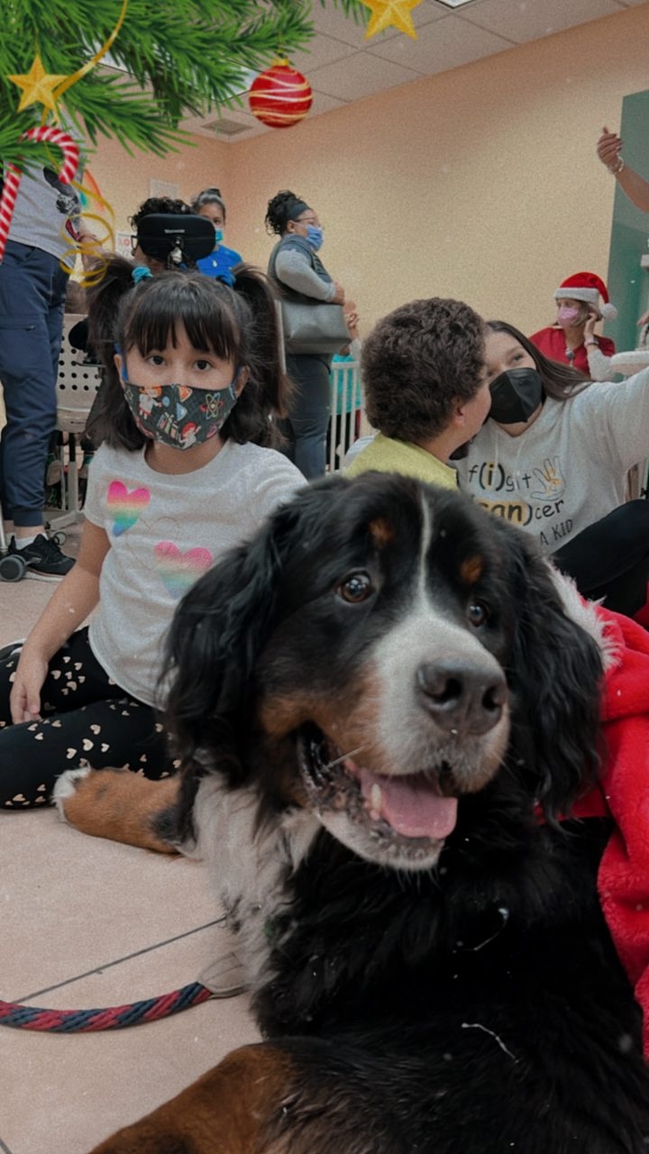 Apollo Christmas visit at Pedikidz | Ale Ramos Therapy Animals