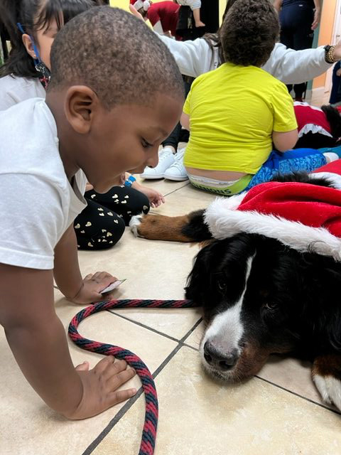 Apollo Christmas visit at Pedikidz | Ale Ramos Therapy Animals
