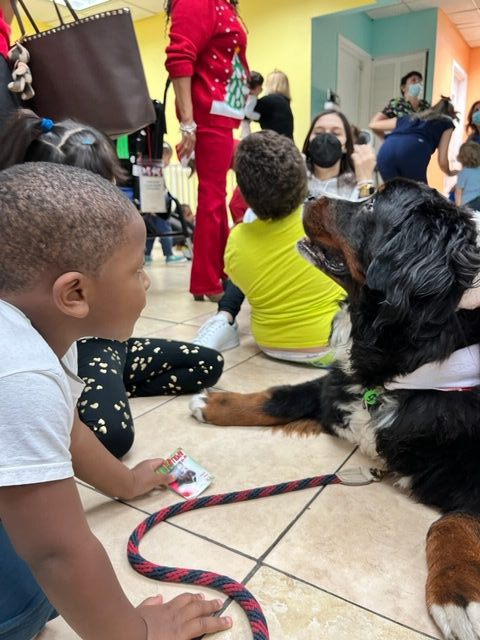 Apollo Christmas visit at Pedikidz | Ale Ramos Therapy Animals