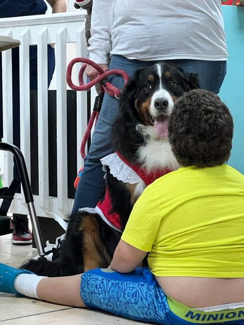 Apollo Christmas visit at Pedikidz | Ale Ramos Therapy Animals