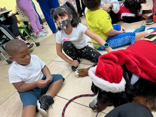 Apollo Christmas visit at Pedikidz | Ale Ramos Therapy Animals