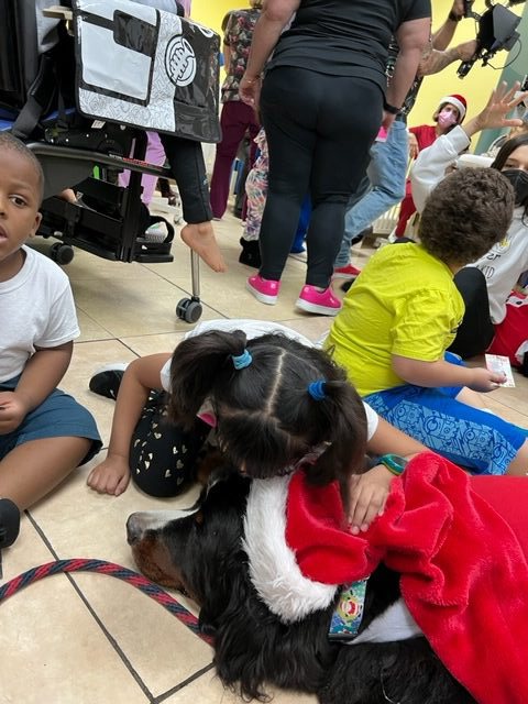 Apollo Christmas visit at Pedikidz | Ale Ramos Therapy Animals