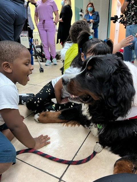 Apollo Christmas visit at Pedikidz | Ale Ramos Therapy Animals