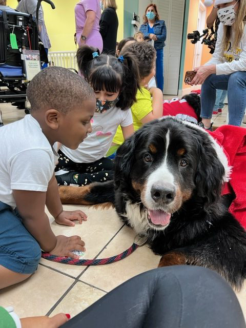 Apollo Christmas visit at Pedikidz | Ale Ramos Therapy Animals