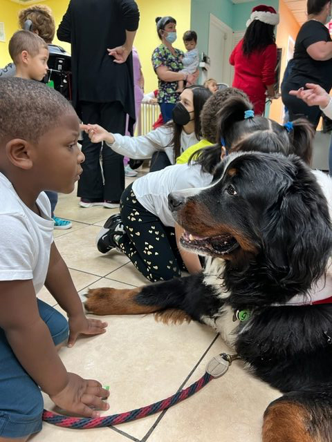 Apollo Christmas visit at Pedikidz | Ale Ramos Therapy Animals