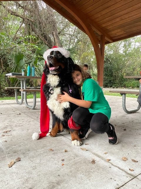 Apollo enjoy the kids at Arch Creek Park for Christmas | Ale Ramos Therapy Animals