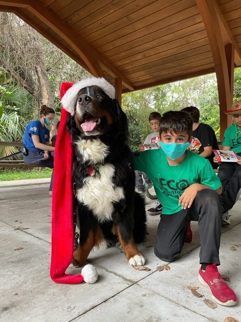 Apollo enjoy the kids at Arch Creek Park for Christmas | Ale Ramos Therapy Animals