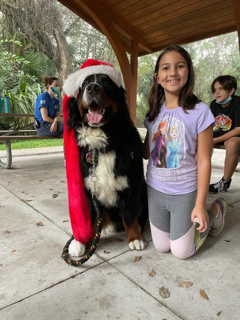 Apollo enjoy the kids at Arch Creek Park for Christmas | Ale Ramos Therapy Animals