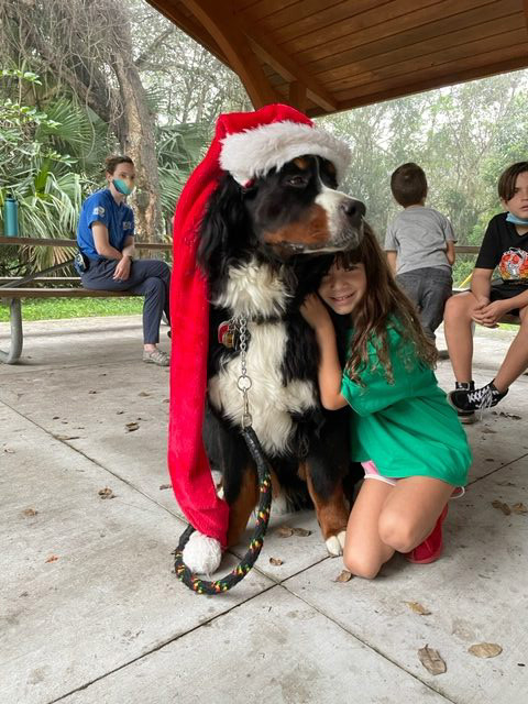 Apollo enjoy the kids at Arch Creek Park for Christmas | Ale Ramos Therapy Animals