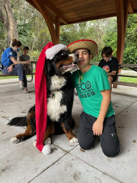 Apollo enjoy the kids at Arch Creek Park for Christmas | Ale Ramos Therapy Animals