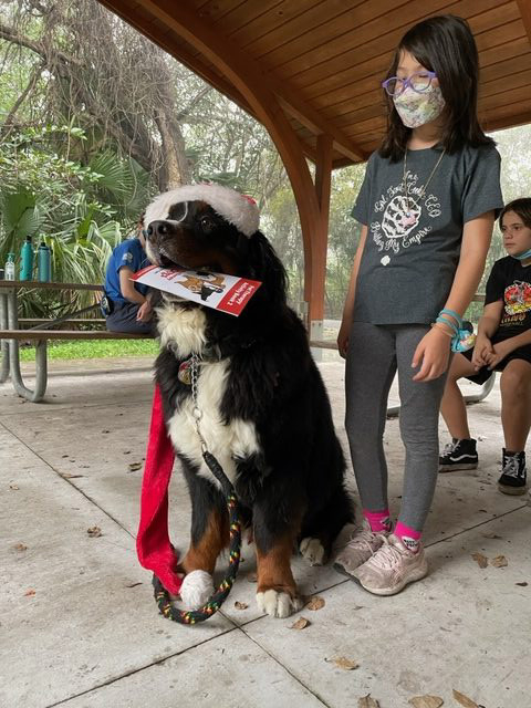 Apollo enjoy the kids at Arch Creek Park for Christmas | Ale Ramos Therapy Animals