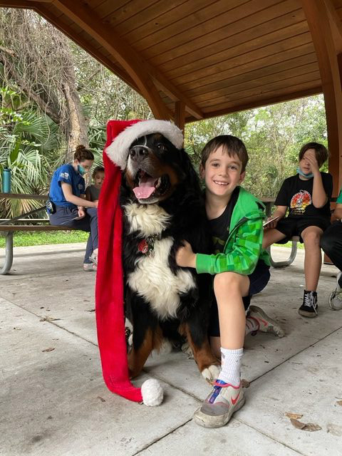 Apollo enjoy the kids at Arch Creek Park for Christmas | Ale Ramos Therapy Animals
