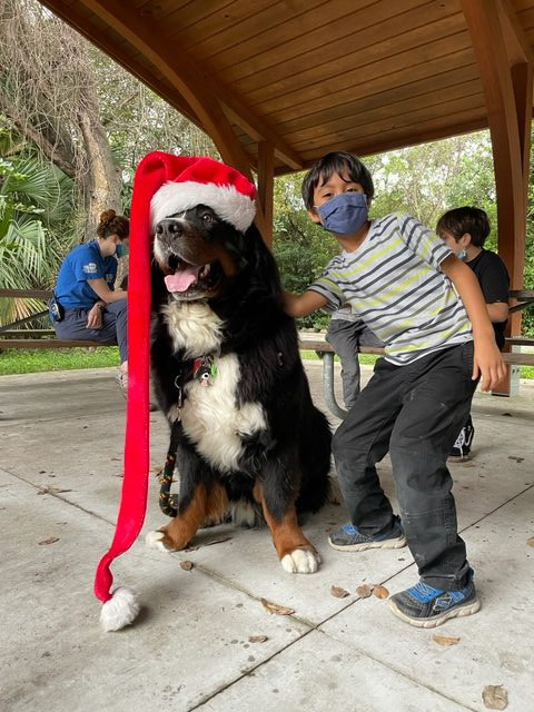 Apollo enjoy the kids at Arch Creek Park for Christmas | Ale Ramos Therapy Animals