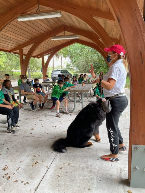 Apollo enjoy the kids at Arch Creek Park for Christmas | Ale Ramos Therapy Animals