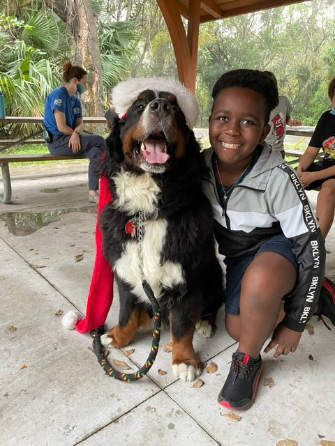 Apollo enjoy the kids at Arch Creek Park for Christmas | Ale Ramos Therapy Animals