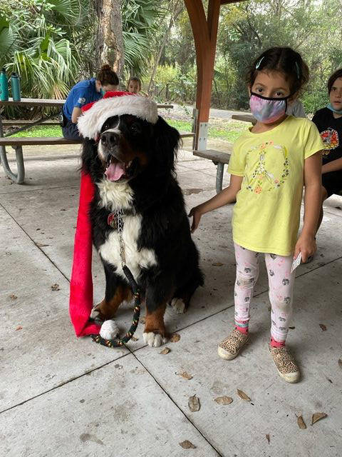 Apollo enjoy the kids at Arch Creek Park for Christmas | Ale Ramos Therapy Animals