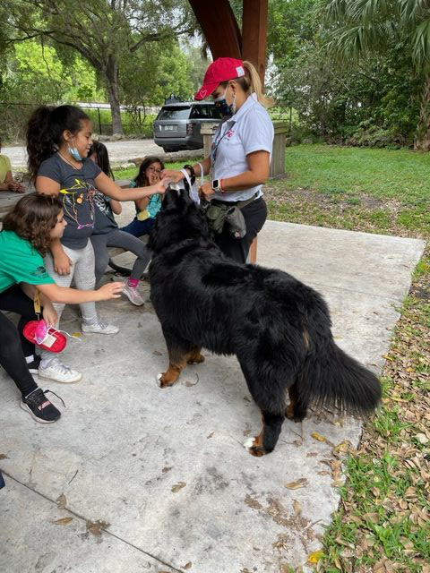 Apollo enjoy the kids at Arch Creek Park for Christmas | Ale Ramos Therapy Animals