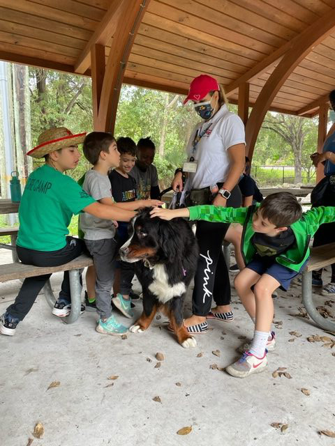 Apollo enjoy the kids at Arch Creek Park for Christmas | Ale Ramos Therapy Animals