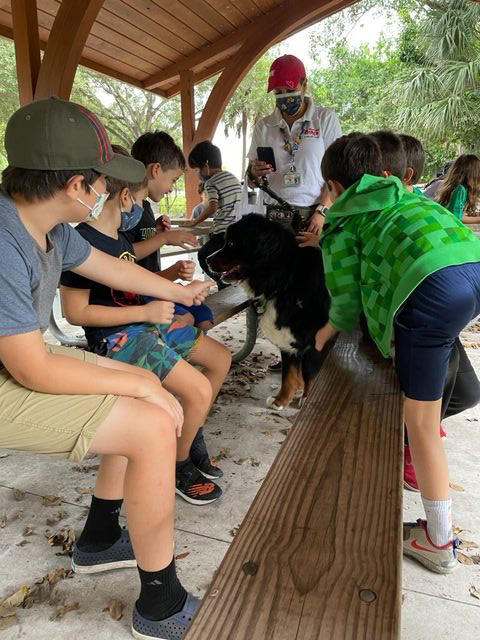 Apollo enjoy the kids at Arch Creek Park for Christmas | Ale Ramos Therapy Animals