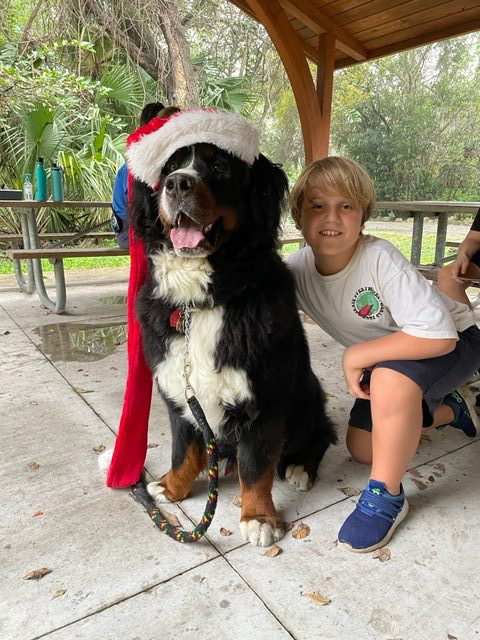 Apollo enjoy the kids at Arch Creek Park for Christmas | Ale Ramos Therapy Animals