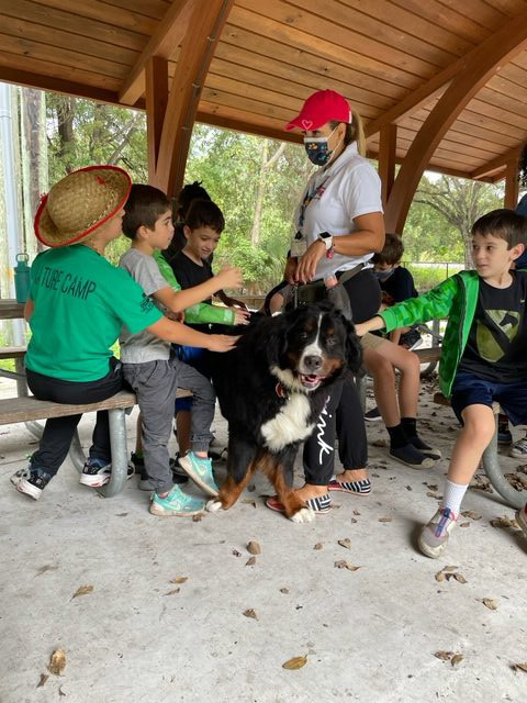 Apollo enjoy the kids at Arch Creek Park for Christmas | Ale Ramos Therapy Animals