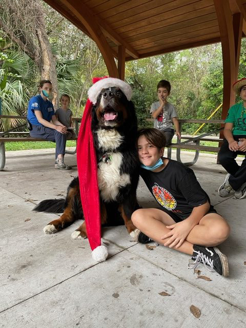 Apollo enjoy the kids at Arch Creek Park for Christmas | Ale Ramos Therapy Animals