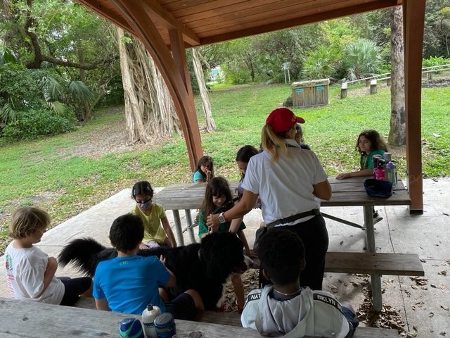 Apollo enjoy the kids at Arch Creek Park for Christmas | Ale Ramos Therapy Animals