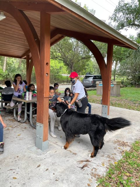 Apollo enjoy the kids at Arch Creek Park for Christmas | Ale Ramos Therapy Animals