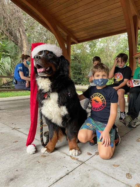 Apollo enjoy the kids at Arch Creek Park for Christmas | Ale Ramos Therapy Animals