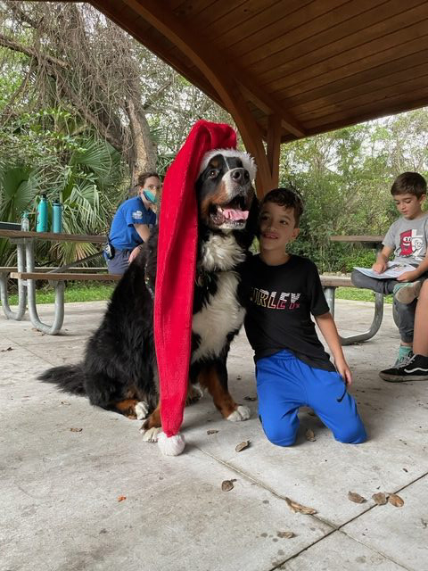 Apollo enjoy the kids at Arch Creek Park for Christmas | Ale Ramos Therapy Animals