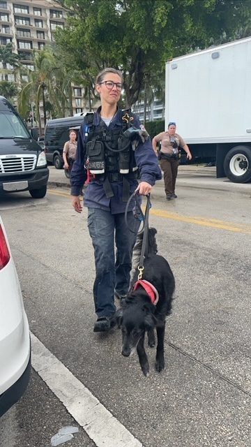 Apollo in Surfside Tragedy | Ale Ramos Therapy Animals