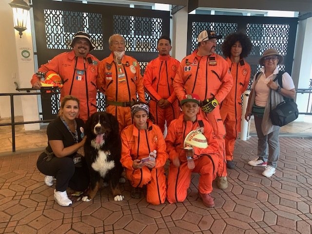 Apollo in Surfside Tragedy | Ale Ramos Therapy Animals