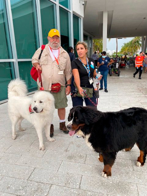 Apollo in Surfside Tragedy | Ale Ramos Therapy Animals