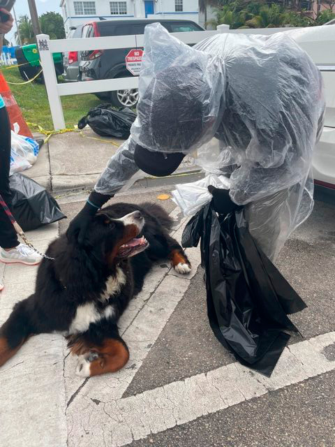 Apollo in Surfside Tragedy | Ale Ramos Therapy Animals
