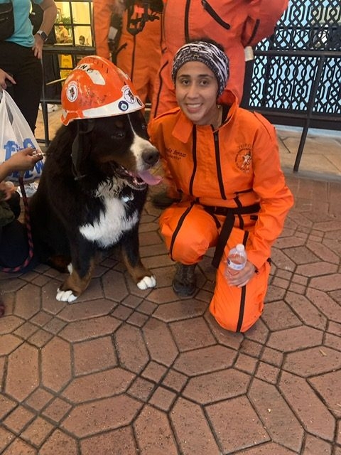Apollo in Surfside Tragedy | Ale Ramos Therapy Animals
