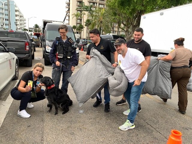 Apollo in Surfside Tragedy | Ale Ramos Therapy Animals