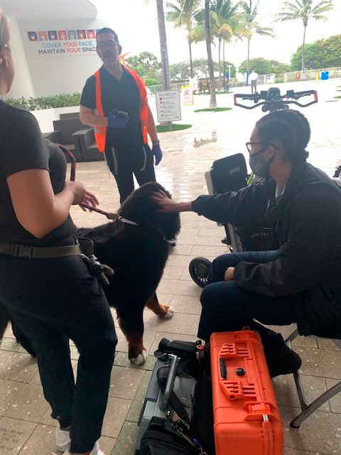 Apollo in Surfside Tragedy | Ale Ramos Therapy Animals