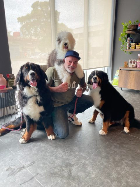 Apollo Love | Ale Ramos Therapy Animals
