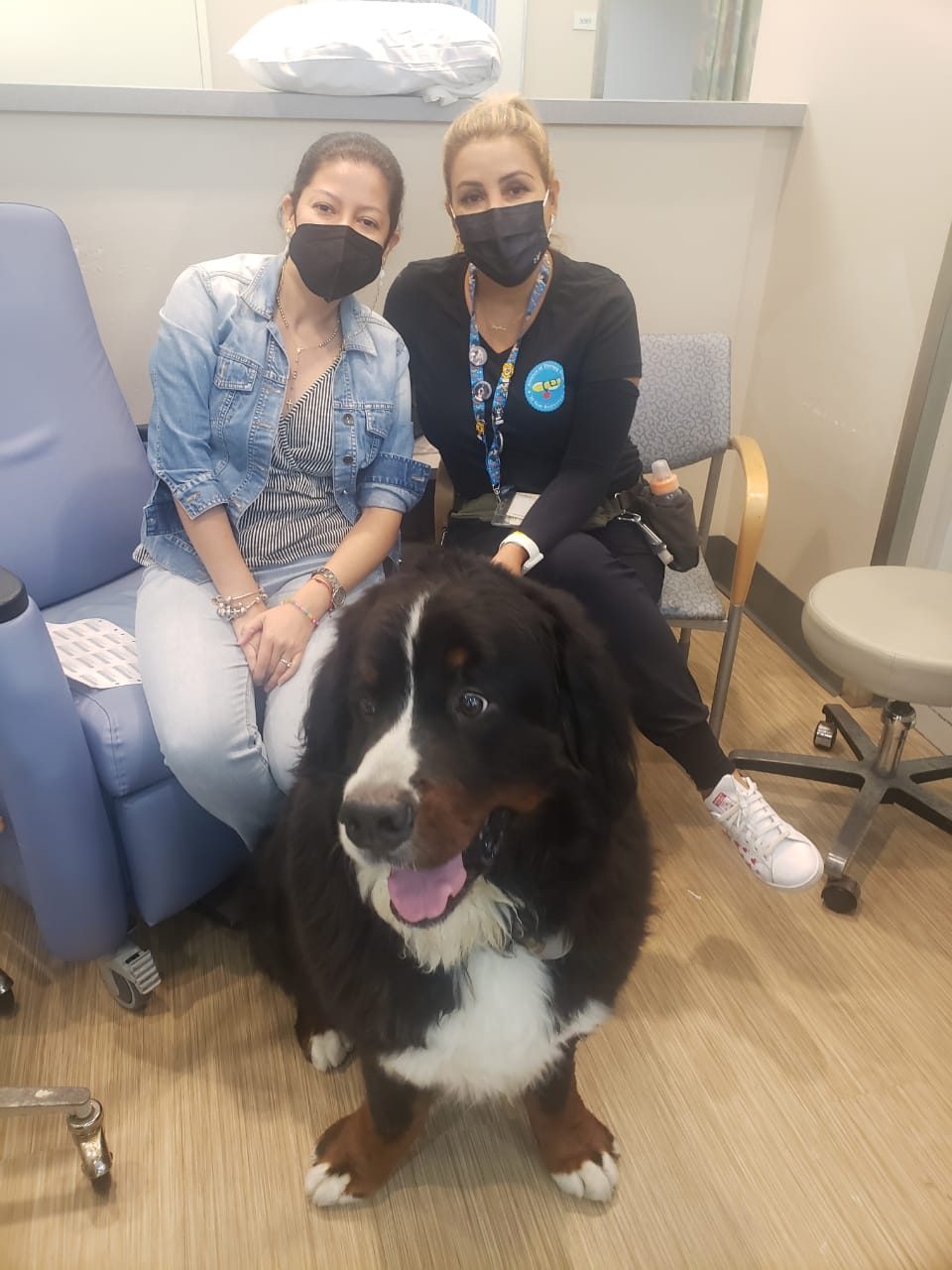 Apollo Love | Ale Ramos Therapy Animals
