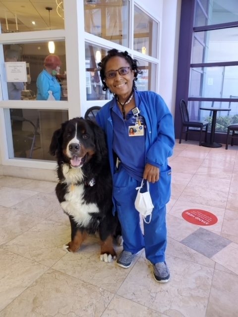 Apollo Love | Ale Ramos Therapy Animals
