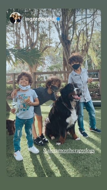 Apollo Love | Ale Ramos Therapy Animals