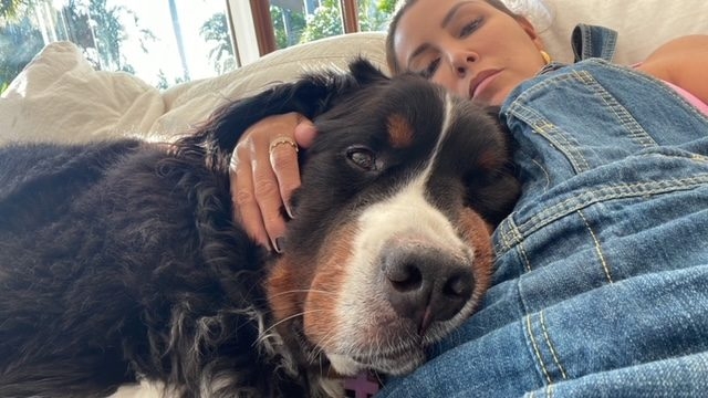 Apollo Love | Ale Ramos Therapy Animals