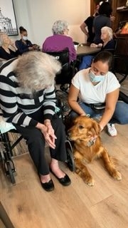  Oct 1, 2022 | Ale Ramos Therapy Animals